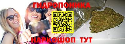 spice Гусев