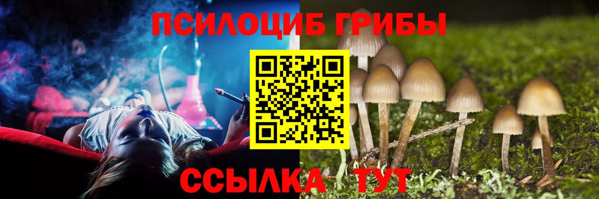 Галлюциногенные грибы GOLDEN TEACHER Россия
