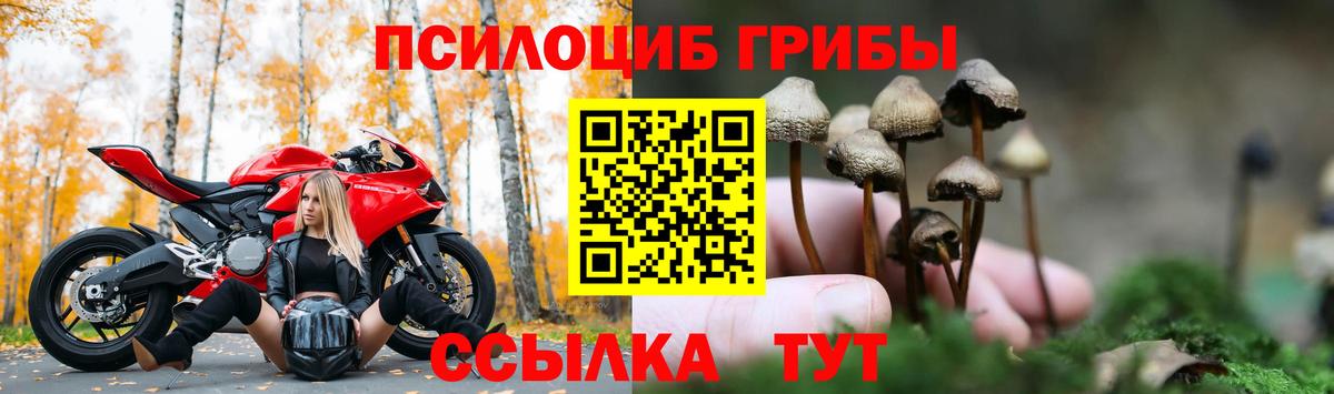 Россия  цены наркотик  Галлюциногенные грибы ЛСД  Вход с VPN  Псилоцибиновые грибы мухоморы 